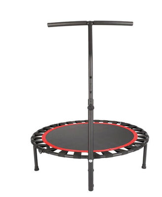 Enclosure and Ladder Recreational Outdoor Trampoline for Kids and Adults