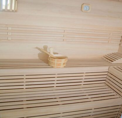 Custom Made Cedar Cube Sauna Room with Computer Control Panel and Electric Stove Heating for Outdoor Use