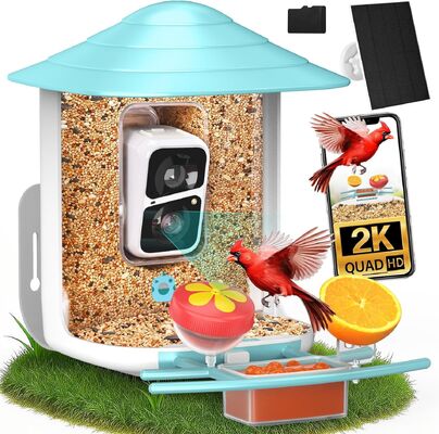 Visible Bird Feeder Featuring Consumption and Built In 4000mA Battery with Type C Interface and Two Way Audio Support